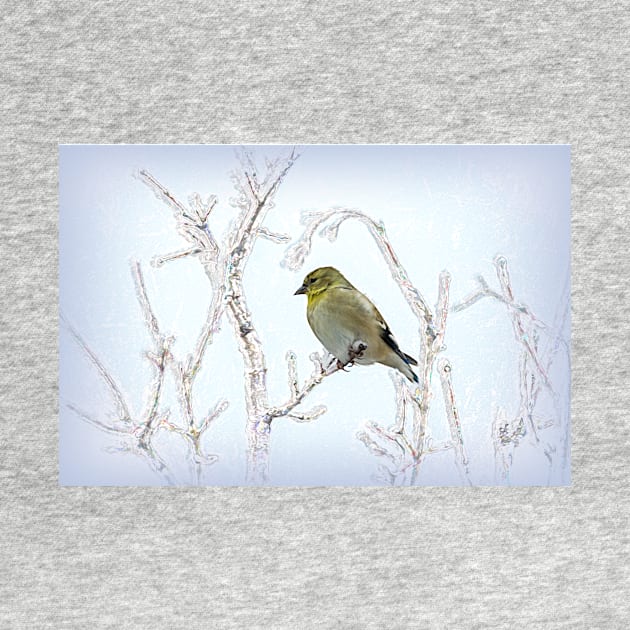 American Goldfinch Framed by the Limbs by Debra Martz by Debra Martz